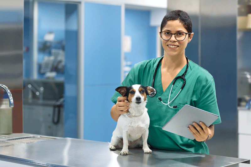 A veterinary professional holding an electronic tablet and posing with a dog inside a veterinary clinic.