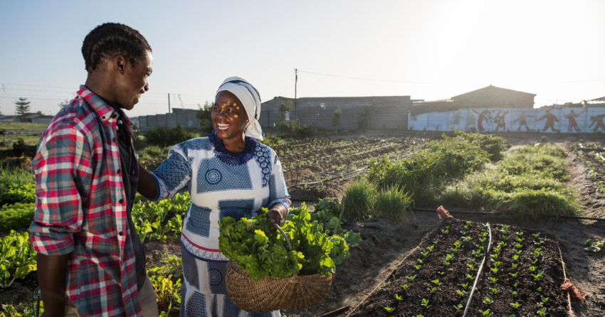 Petani kecil di Afrika menyerukan peningkatan akses terhadap teknologi untuk memungkinkan pertanian regeneratif dan menumbuhkan ketahanan